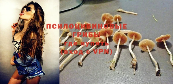 бутират Козловка
