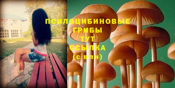 бутират Козловка