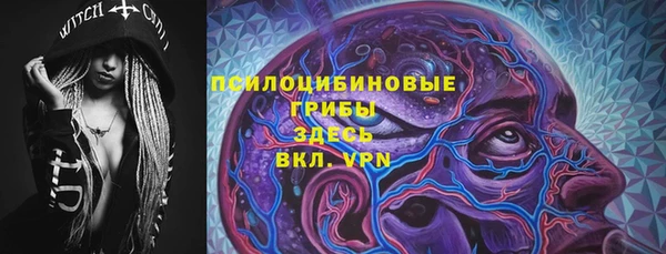 ALPHA PVP Кодинск