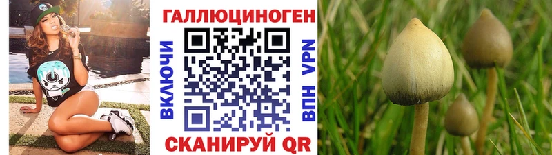 Псилоцибиновые грибы мухоморы  Ачхой-Мартан 